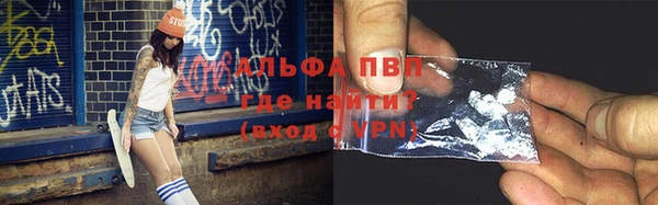 шишки Алзамай