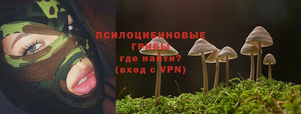 прущий лед Алексеевка