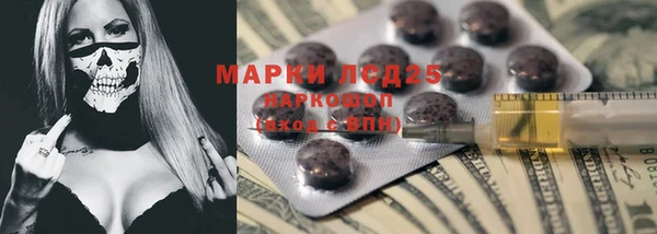 шишки Алзамай