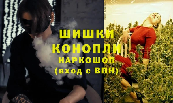 шишки Алзамай