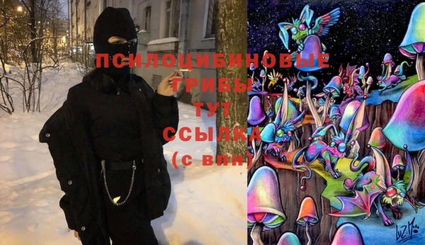 мяу мяу мука Абинск