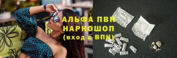 шишки Алзамай